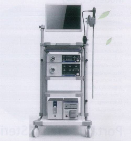 Video Endoscope System 